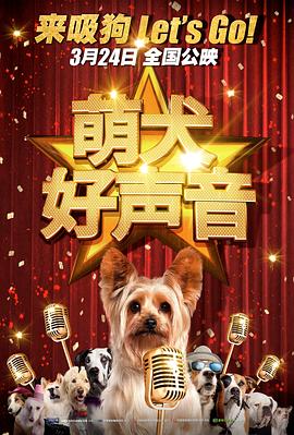 ai换脸女明星被躁在线观看