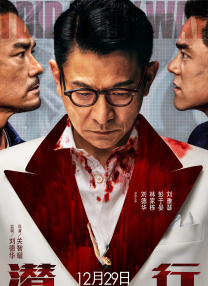 久久久国产精品va麻豆