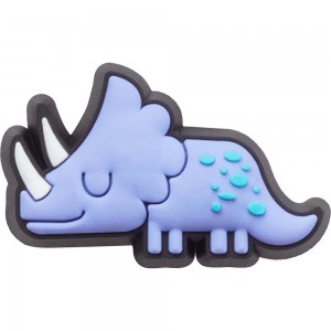 Crocs Dino Men Jibbitz Charms | QCTLFV910