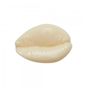 Crocs Puka Shell Men Jibbitz Charms | XFUVTN658