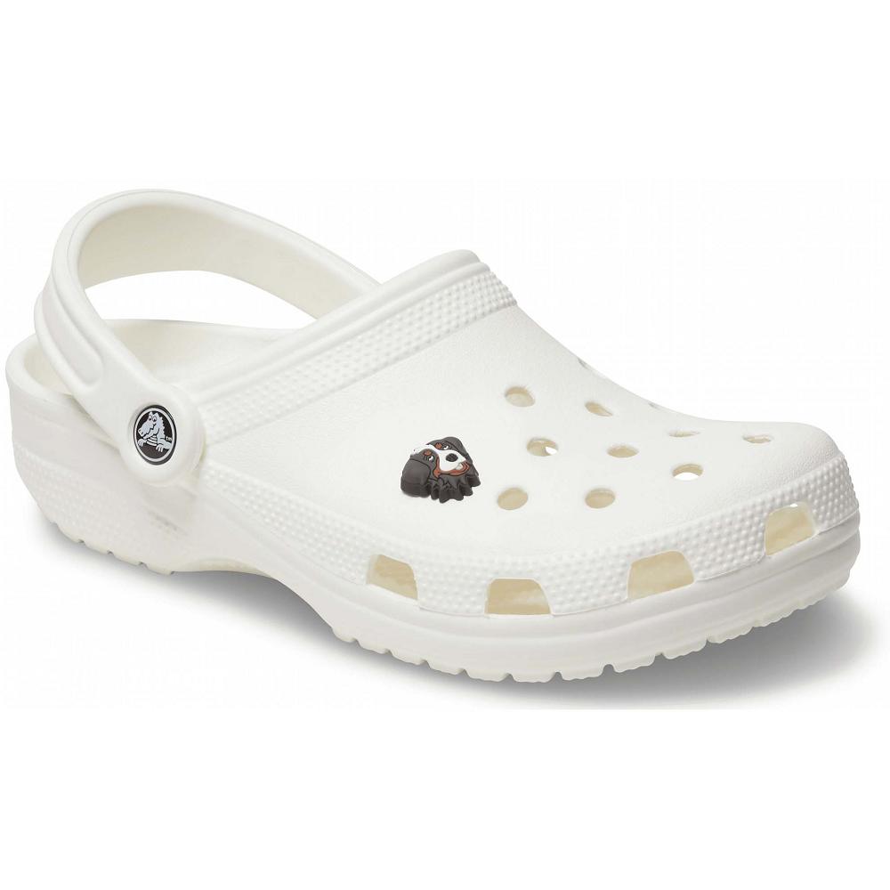 Crocs Bernese Mountain Dog Men Jibbitz Charms | RWHTPX071