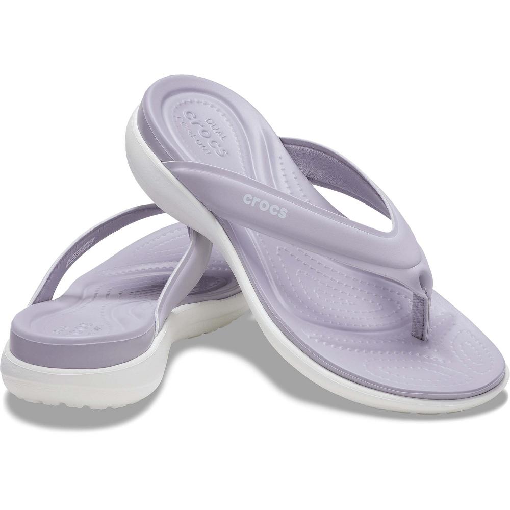 Crocs Capri V Sporty Women Flip Flops Purple | YXQDWT416