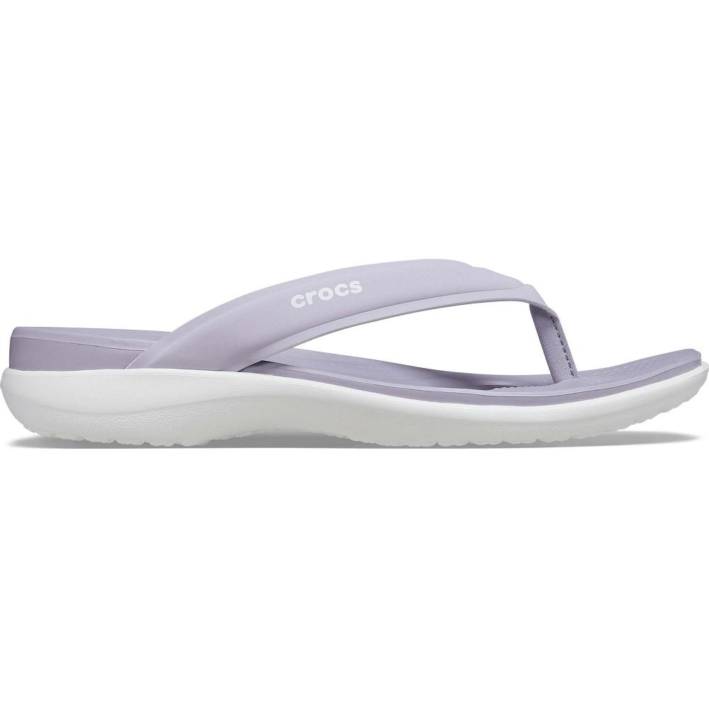Crocs Capri V Sporty Women Flip Flops Purple | YXQDWT416