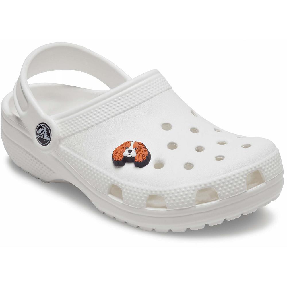 Crocs Cavalier Dog Men Jibbitz Charms | DLRUPV971