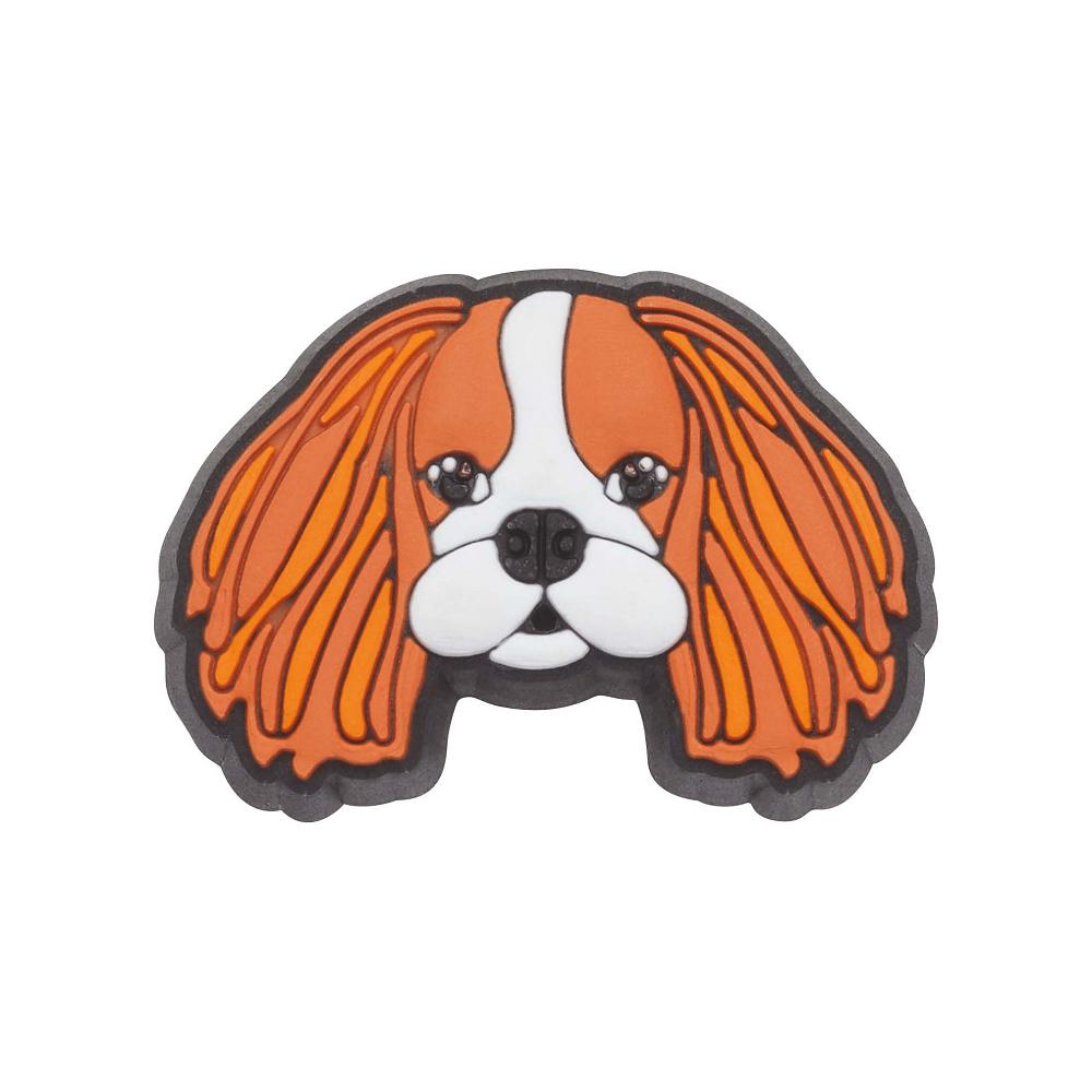Crocs Cavalier Dog Men Jibbitz Charms | DLRUPV971