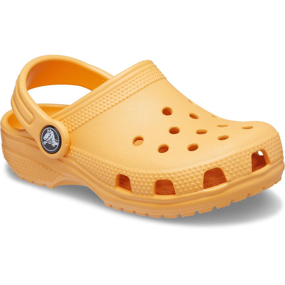Crocs Classic Kids\' Clogs Orange | TCSFVG970
