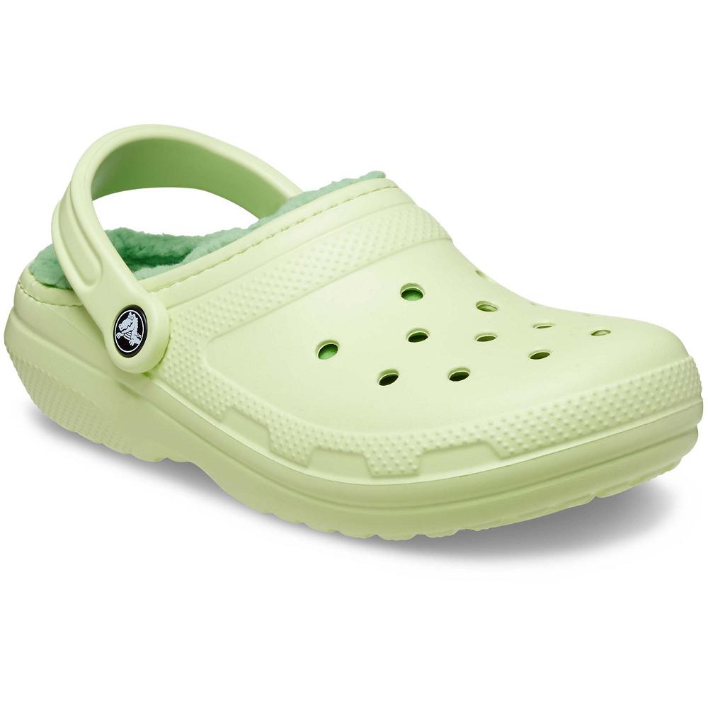 Crocs Classic Lined Men Clogs Mint | SQTGXE724