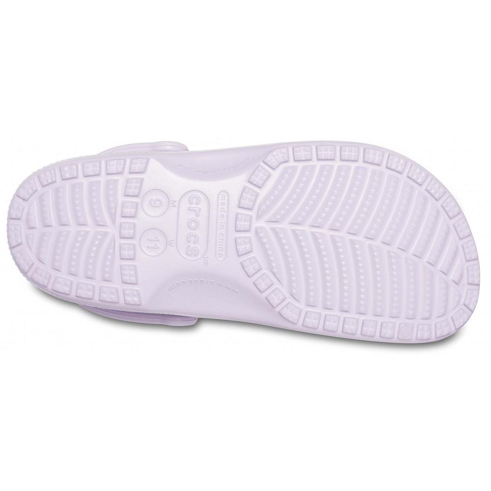 Crocs Classic Men Clogs Purple / Pink | NEZSTU985
