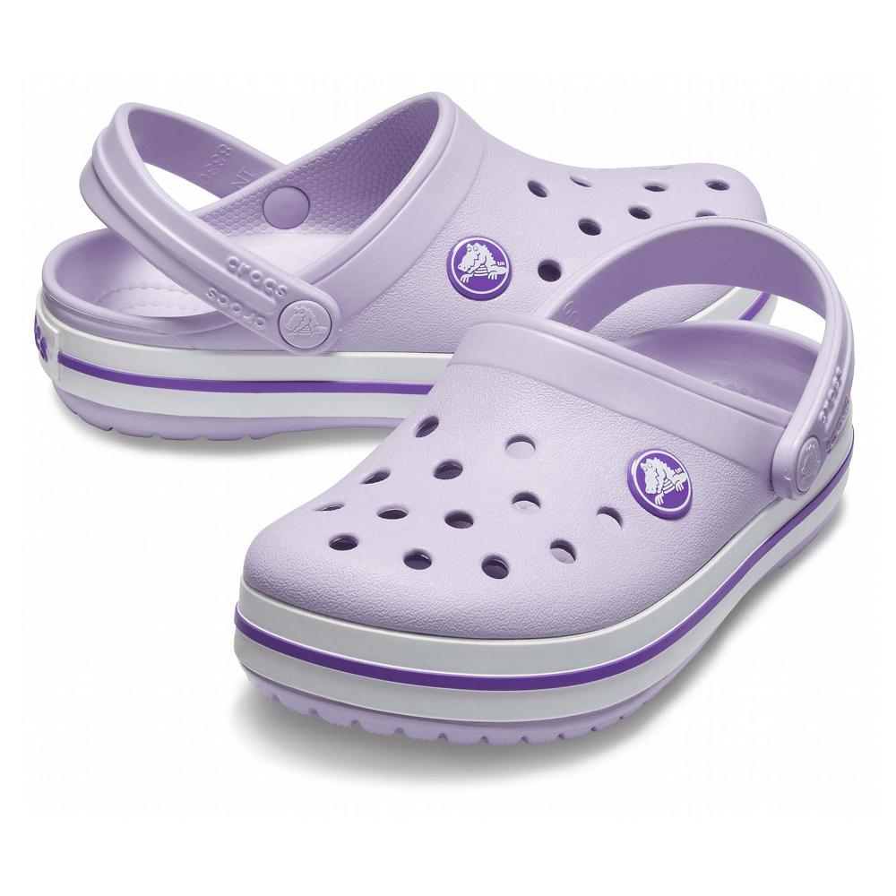 Crocs Crocband™ Kids' Clogs Purple | LNTSYQ649