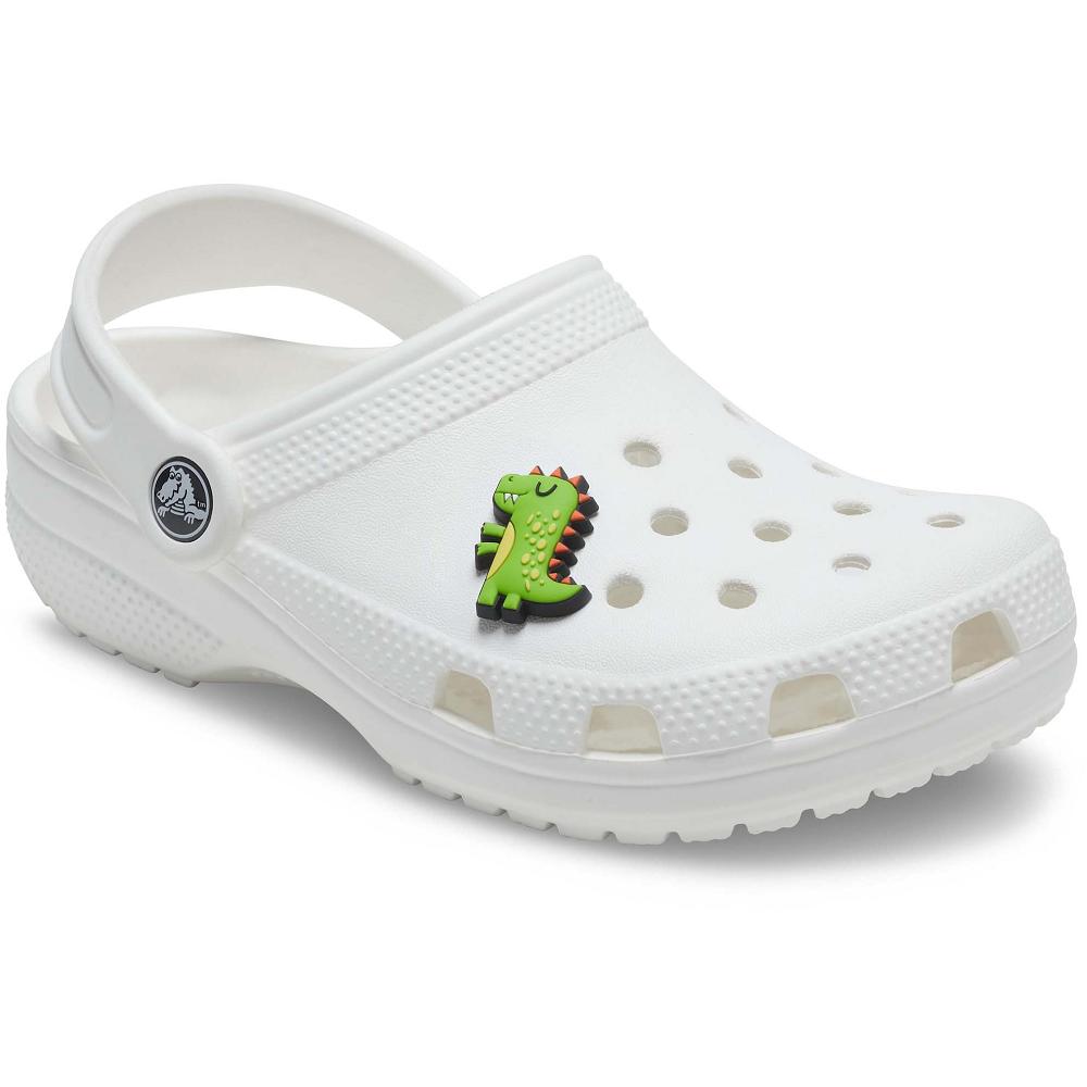 Crocs Dino Men Jibbitz Charms | FVJTNB946