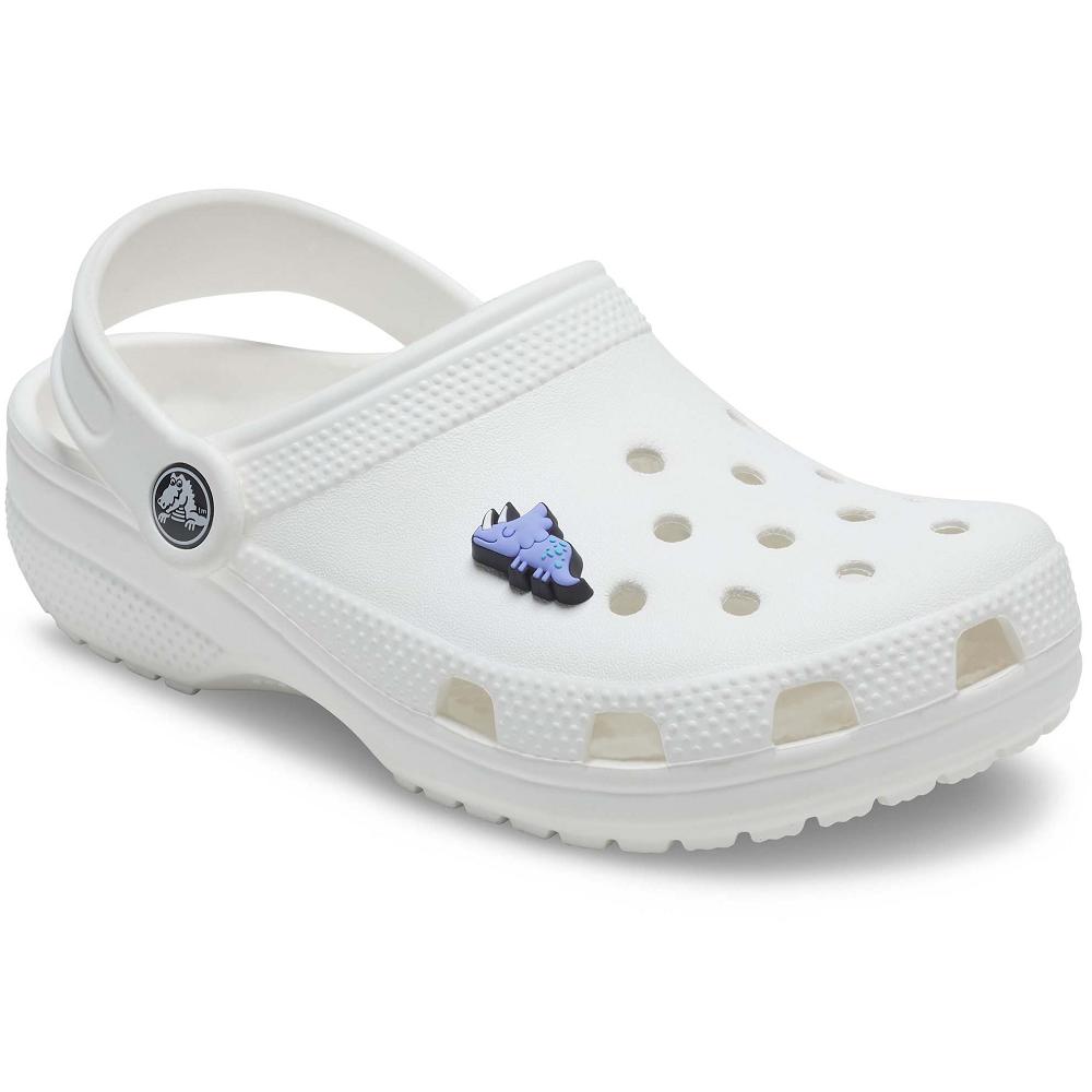 Crocs Dino Men Jibbitz Charms | QCTLFV910