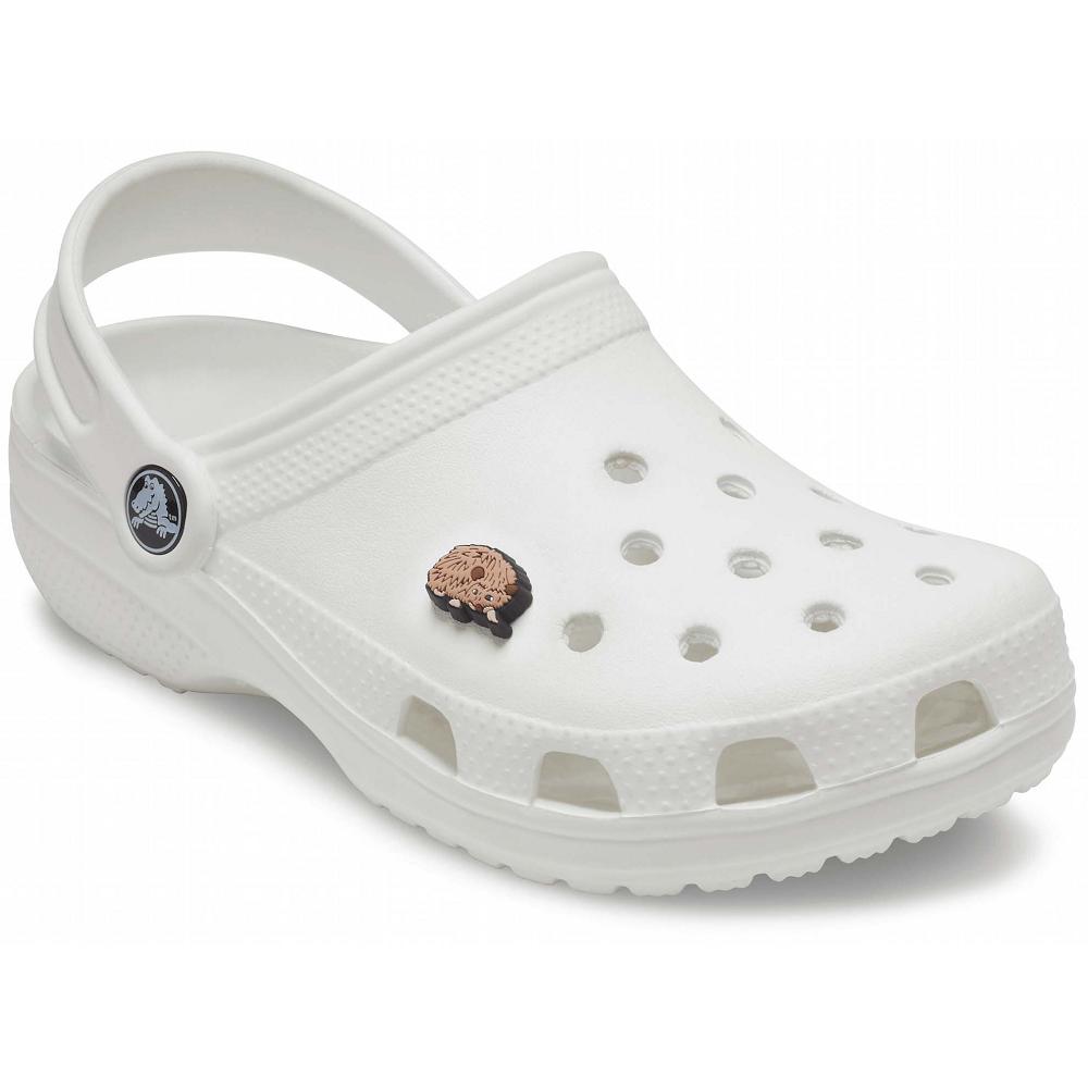 Crocs Hedgehog Men Jibbitz Charms | DXSCYW291