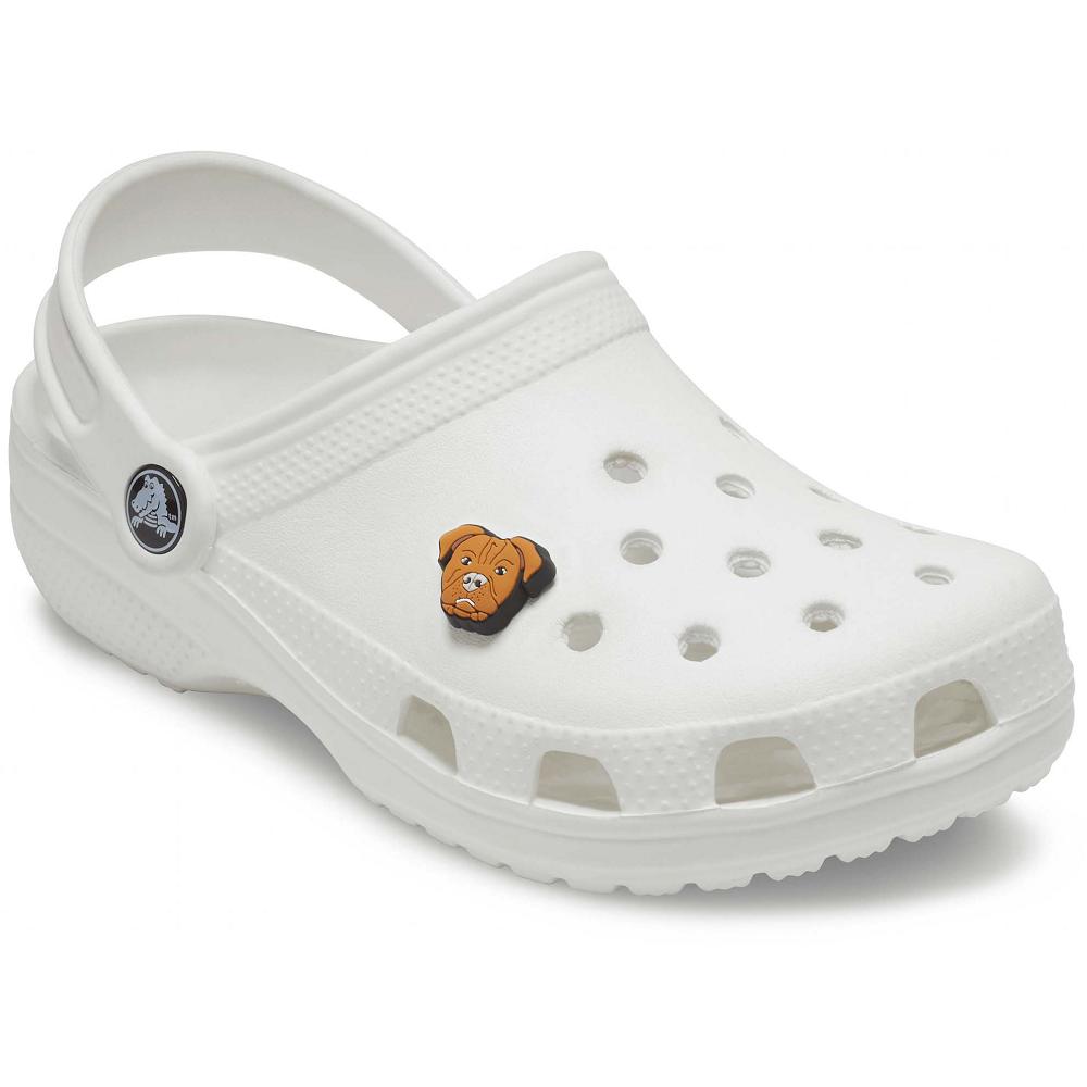 Crocs Pitbull Men Jibbitz Charms | NCREBL316