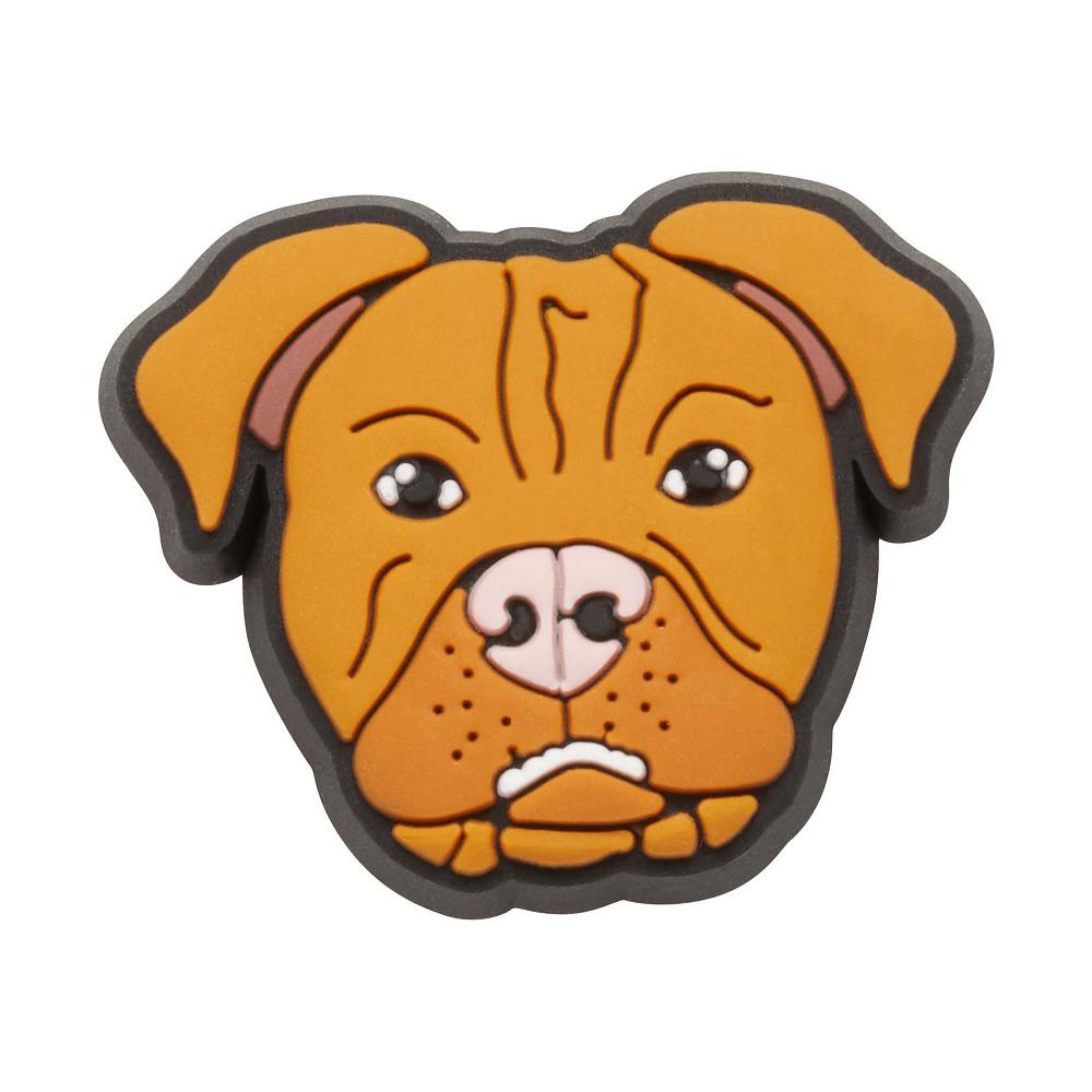 Crocs Pitbull Men Jibbitz Charms | NCREBL316