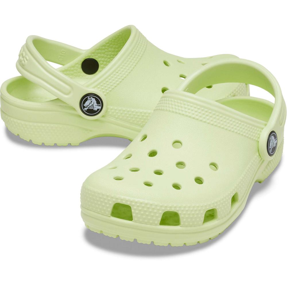 Crocs Toddler Classic Kids' Clogs Mint | WGPHBQ178