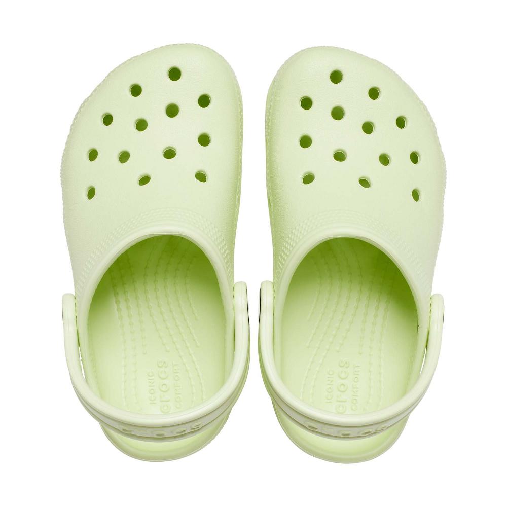 Crocs Toddler Classic Kids' Clogs Mint | WGPHBQ178