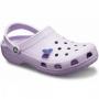 Purple / Pink